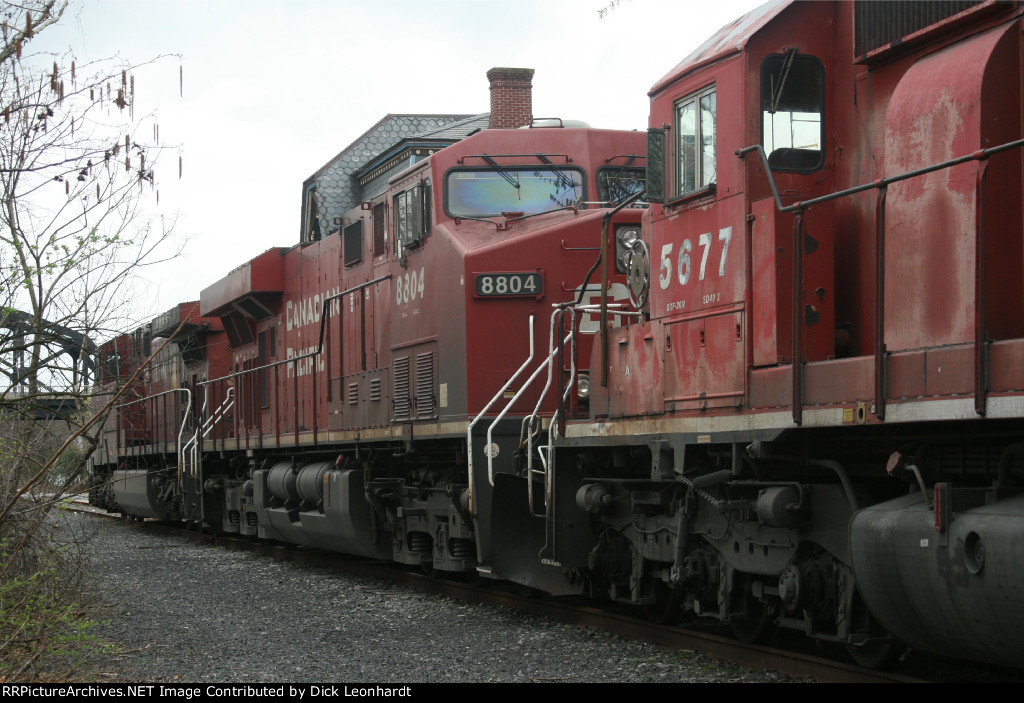 CP 8804